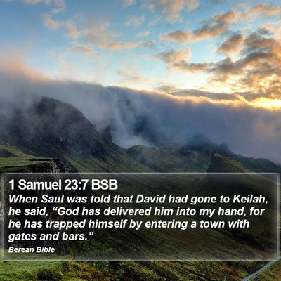 1 Samuel 23:7 BSB Bible Verse Image