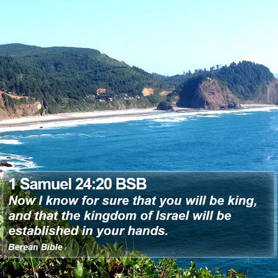 1 Samuel 24:20 BSB Bible Verse Image