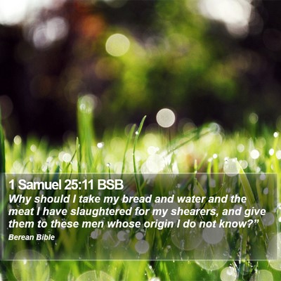 1 Samuel 25:11 BSB Bible Verse Image