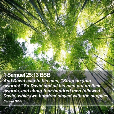 1 Samuel 25:13 BSB Bible Verse Image