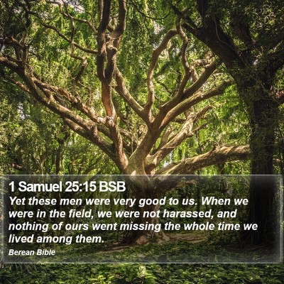 1 Samuel 25:15 BSB Bible Verse Image
