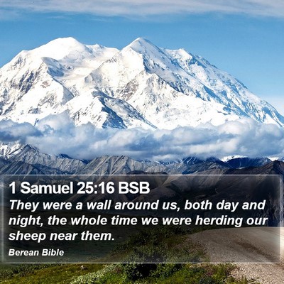 1 Samuel 25:16 BSB Bible Verse Image