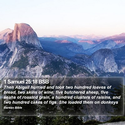 1 Samuel 25:18 BSB Bible Verse Image