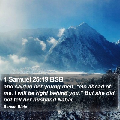1 Samuel 25:19 BSB Bible Verse Image