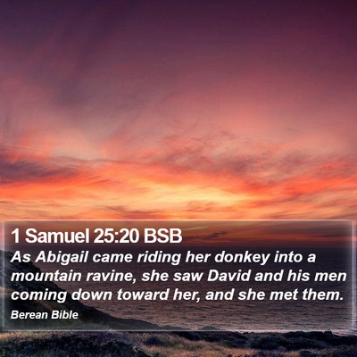 1 Samuel 25:20 BSB Bible Verse Image