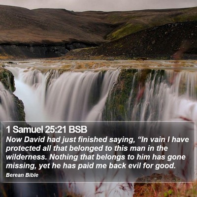 1 Samuel 25:21 BSB Bible Verse Image