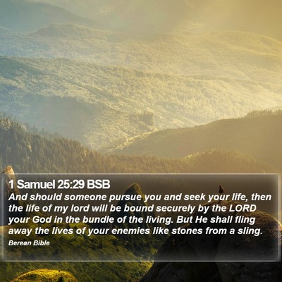 1 Samuel 25:29 BSB Bible Verse Image