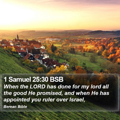 1 Samuel 25:30 BSB Bible Verse Image