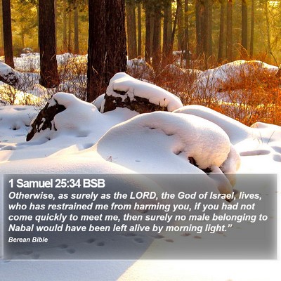 1 Samuel 25:34 BSB Bible Verse Image