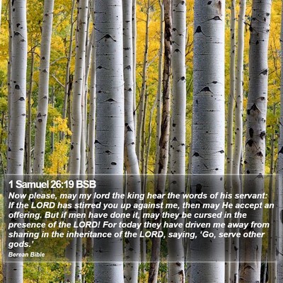 1 Samuel 26:19 BSB Bible Verse Image