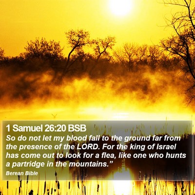 1 Samuel 26:20 BSB Bible Verse Image