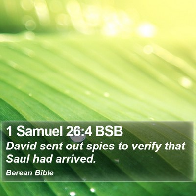 1 Samuel 26:4 BSB Bible Verse Image