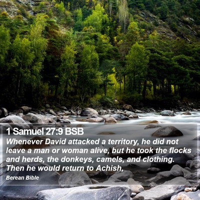 1 Samuel 27:9 BSB Bible Verse Image