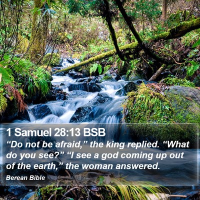 1 Samuel 28:13 BSB Bible Verse Image