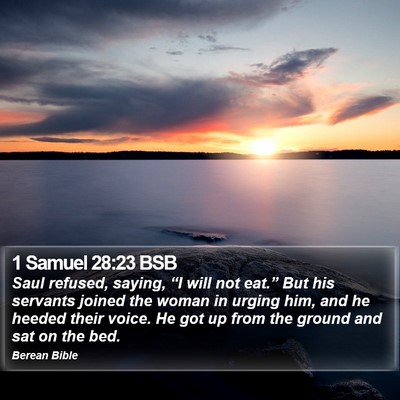 1 Samuel 28:23 BSB Bible Verse Image