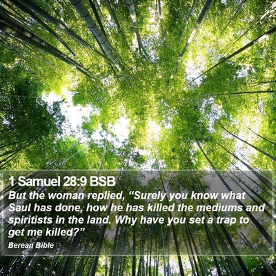 1 Samuel 28:9 BSB Bible Verse Image