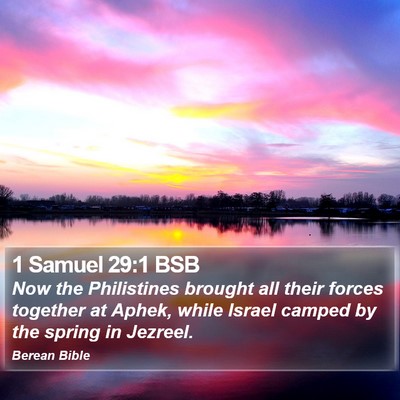 1 Samuel 29:1 BSB Bible Verse Image