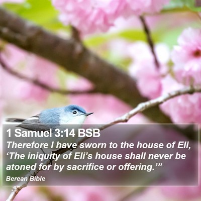 1 Samuel 3:14 BSB Bible Verse Image