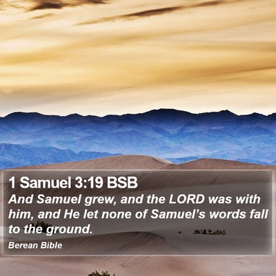 1 Samuel 3:19 BSB Bible Verse Image