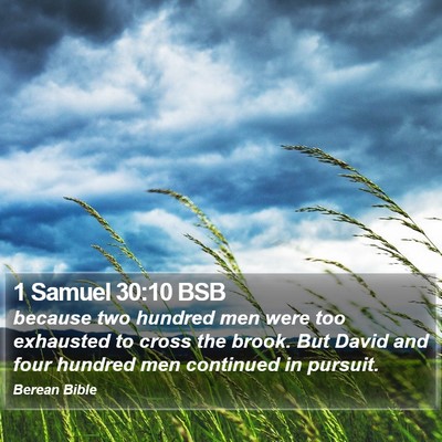 1 Samuel 30:10 BSB Bible Verse Image