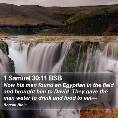 1 Samuel 30:11 BSB Bible Verse Image