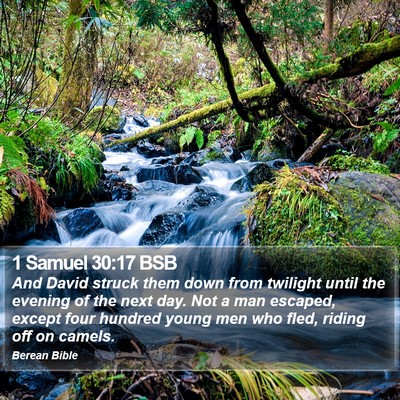 1 Samuel 30:17 BSB Bible Verse Image