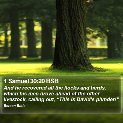 1 Samuel 30:20 BSB Bible Verse Image