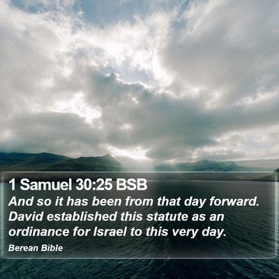 1 Samuel 30:25 BSB Bible Verse Image