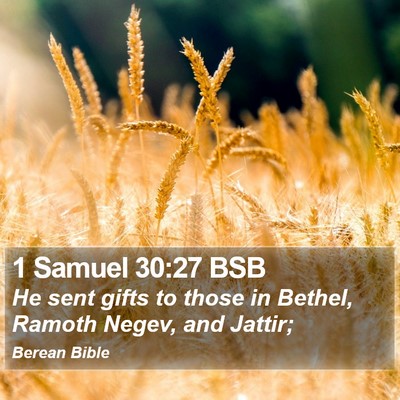 1 Samuel 30:27 BSB Bible Verse Image