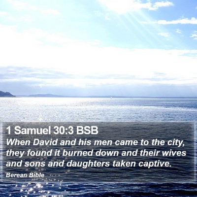 1 Samuel 30:3 BSB Bible Verse Image