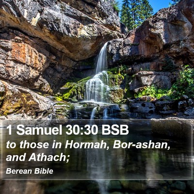 1 Samuel 30:30 BSB Bible Verse Image
