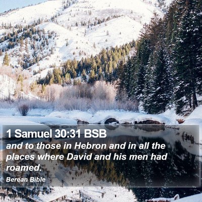 1 Samuel 30:31 BSB Bible Verse Image
