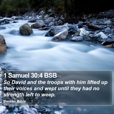 1 Samuel 30:4 BSB Bible Verse Image