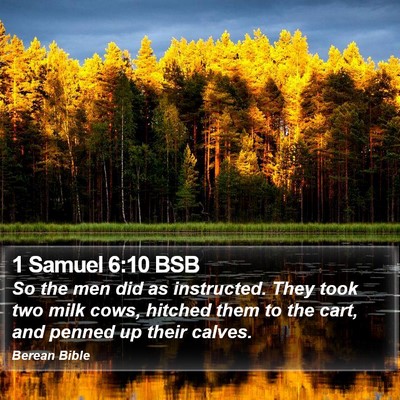 1 Samuel 6:10 BSB Bible Verse Image