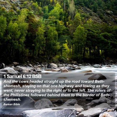 1 Samuel 6:12 BSB Bible Verse Image