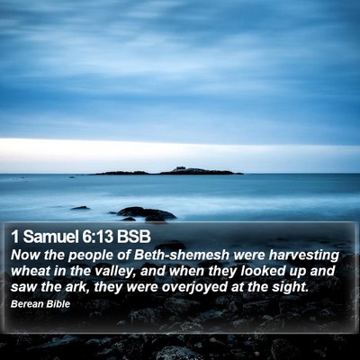 1 Samuel 6:13 BSB Bible Verse Image