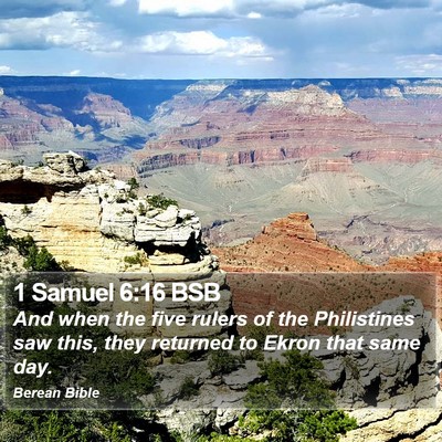 1 Samuel 6:16 BSB Bible Verse Image