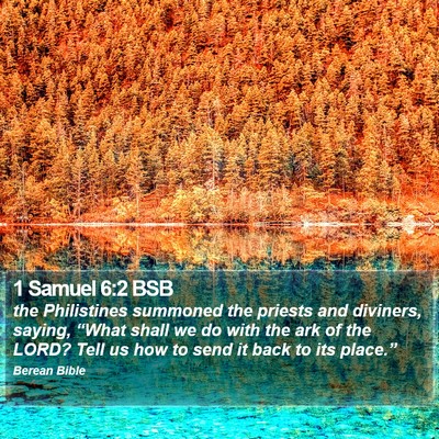1 Samuel 6:2 BSB Bible Verse Image