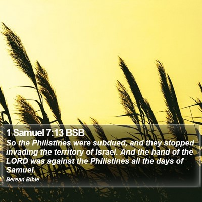 1 Samuel 7:13 BSB Bible Verse Image