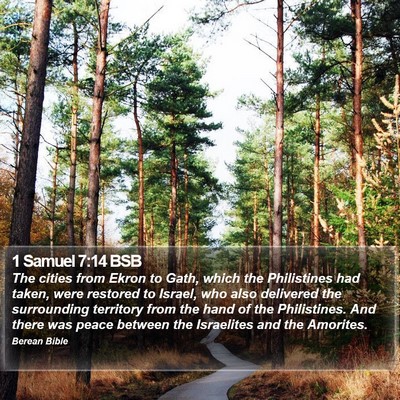 1 Samuel 7:14 BSB Bible Verse Image