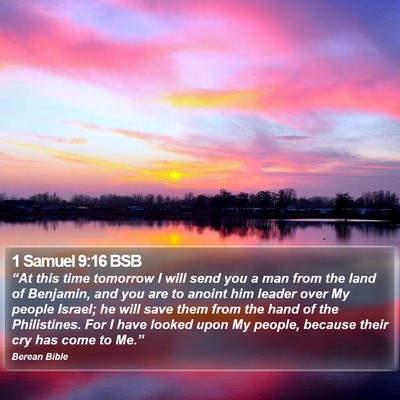 1 Samuel 9:16 BSB Bible Verse Image