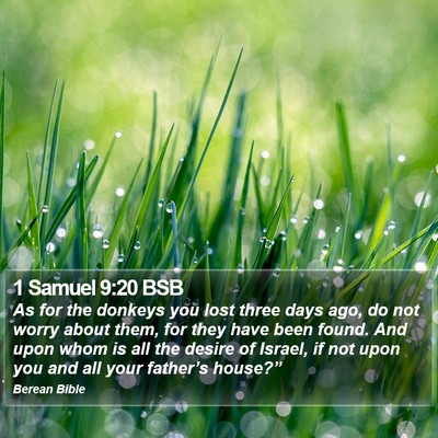 1 Samuel 9:20 BSB Bible Verse Image