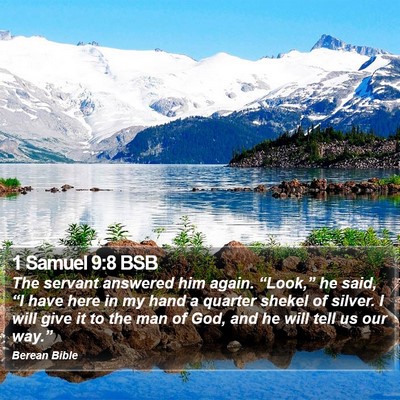 1 Samuel 9:8 BSB Bible Verse Image