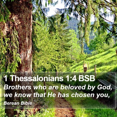 1 Thessalonians 1:4 BSB Bible Verse Image