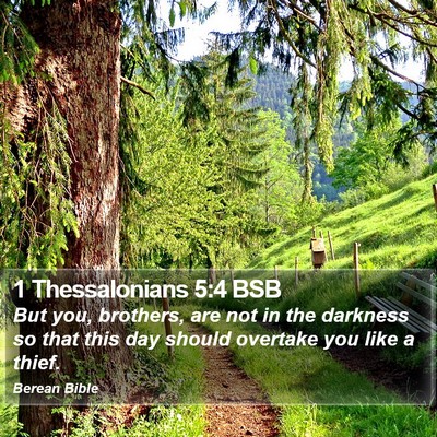 1 Thessalonians 5:4 BSB Bible Verse Image