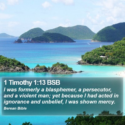 1 Timothy 1:13 BSB Bible Verse Image