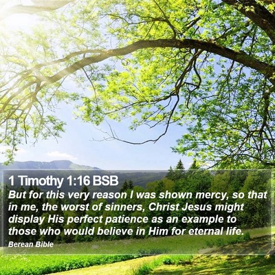 1 Timothy 1:16 BSB Bible Verse Image
