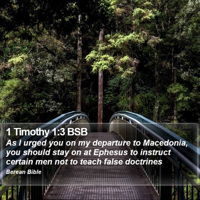1 Timothy 1:3 BSB Bible Verse Image