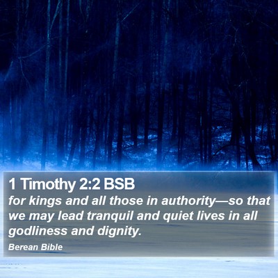 1 Timothy 2:2 BSB Bible Verse Image