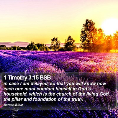 1 Timothy 3:15 BSB Bible Verse Image
